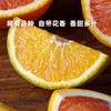 企鹅市集|湖北秭归 巧克力橙/红肉橙双拼组合 多重口感风味体验 饱满多汁 商品缩略图1