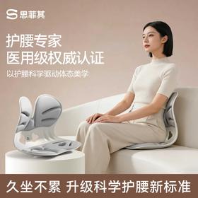 【矫正坐姿】思菲其人体工学护腰坐垫 分区承托 科学护脊护腰 舒适包裹腰椎 久坐不累