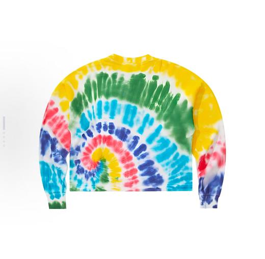 Champion 79.9元 欧版卫衣女款  (线上线下同时在售不保证有货，活动款不退不换介意勿拍) 654197-QS 商品图1