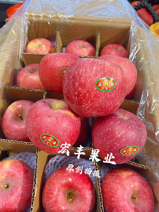 宏丰精选，陕西洛川苹果，口感脆甜，活动价6.8元一斤 商品图4