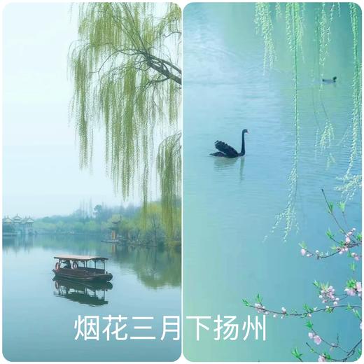 【小爱首发团】【2026清明假期】烟花三月下扬州丨瘦西湖赏花+扬州早茶+学艺非遗+南京半自助四日亲子游 商品图1