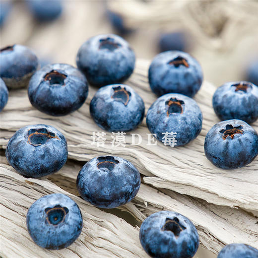 塔漠DE莓 . 新疆蓝莓 来自新疆塔克拉玛干沙漠 当季鲜果 商品图5