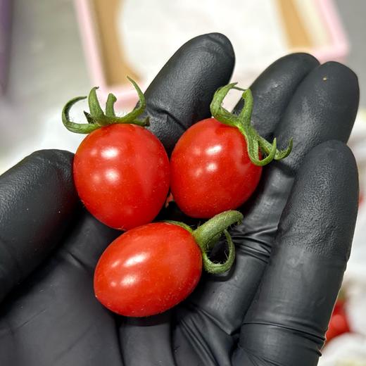 【红色小千禧】釜山88，小巧玲珑，果肉饱满，酸酸甜甜，番茄味道浓郁，直接吃、做沙拉都很OK，低脂低热量、出游踏青必备。净重2斤/份，江浙沪皖顺丰包邮~ 商品图2