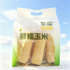 【自然生长香甜软糯】蒙粮 有机玉米 有机紫甜糯玉米1.7kg/白甜糯玉米1.8kg/黄甜糯玉米1.8kg  皮薄肉嫩够新鲜 商品缩略图0