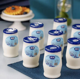 蒙古罐酸奶（170g）