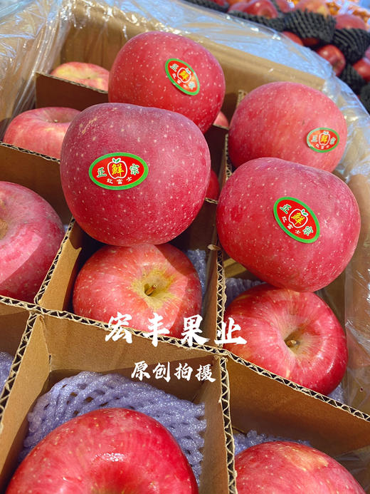 宏丰精选，陕西洛川苹果，口感脆甜，活动价6.8元一斤 商品图2