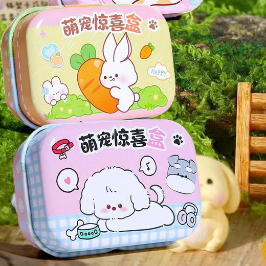 领养一只猫咪萌宠惊喜盒 商品图0