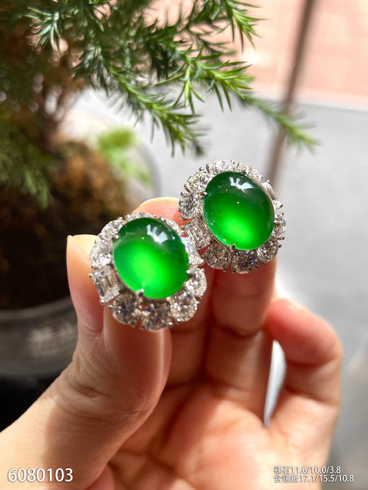 老坑玻璃种帝王绿蛋面耳钉【6080103】具体价格微信咨询 商品图2