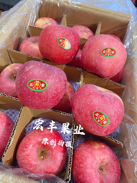 宏丰精选，陕西洛川苹果，口感脆甜，活动价6.8元一斤 商品图0