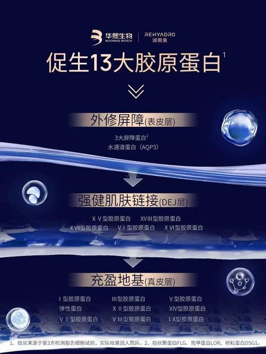 【效期至27年9月】华熙生物润熙泉赋颜紧致修护精华油 商品图2