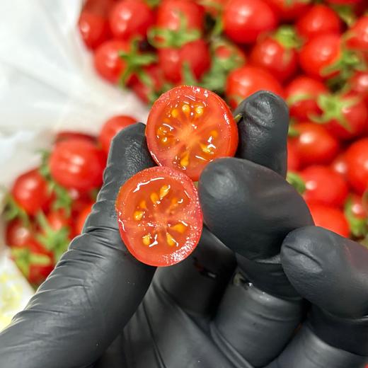 【红色小千禧】釜山88，小巧玲珑，果肉饱满，酸酸甜甜，番茄味道浓郁，直接吃、做沙拉都很OK，低脂低热量、出游踏青必备。净重2斤/份，江浙沪皖顺丰包邮~ 商品图1