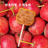 【预售：3月23日发货】谦益农业 自然农法山楂棒棒糖  100g/袋（9支) 商品缩略图3