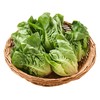 那云那南有机罗马生菜 250g/份 商品缩略图1