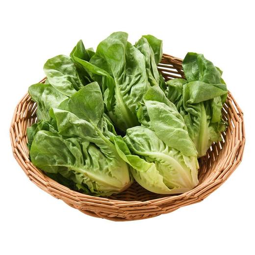 那云那南有机罗马生菜 250g/份 商品图1