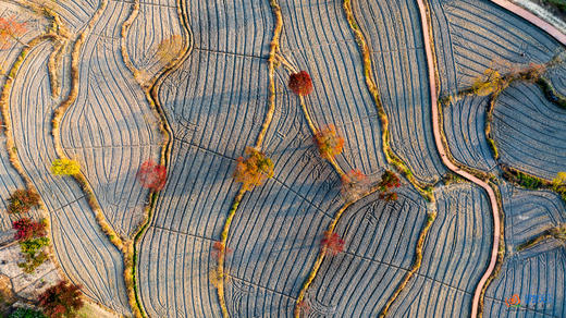 鄂赣秋境5/9天摄影团：大别山红叶 + 庐山秋韵 + 武汉夜景  + 鄱阳湖秘境 商品图13