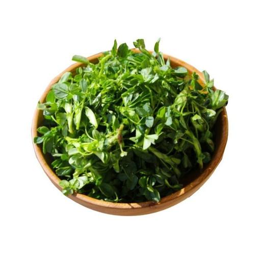【春菜】苜蓿叶（份） 商品图0