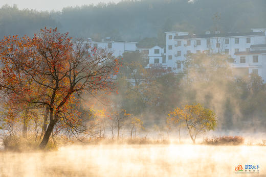 鄂赣秋境5/9天摄影团：大别山红叶 + 庐山秋韵 + 武汉夜景  + 鄱阳湖秘境 商品图9