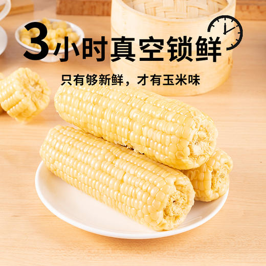【自然生长香甜软糯】蒙粮 有机玉米 有机紫甜糯玉米1.7kg/白甜糯玉米1.8kg/黄甜糯玉米1.8kg  皮薄肉嫩够新鲜 商品图1