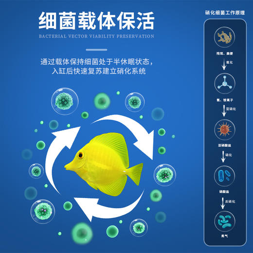 复合硝化细菌 商品图5
