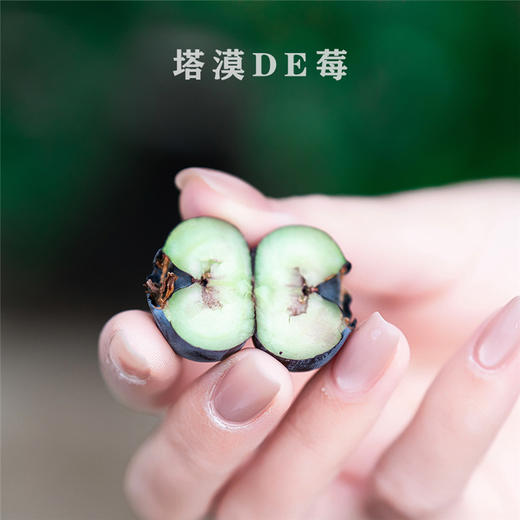 塔漠DE莓 . 新疆蓝莓 来自新疆塔克拉玛干沙漠 当季鲜果 商品图3