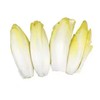 【ZCWJ】  玉兰菜  新鲜  当季  时令蔬菜 商品缩略图1