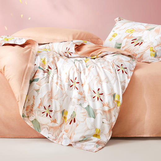 罗莱智家午后拾光全棉印花套（WAD0316-4） 商品图2