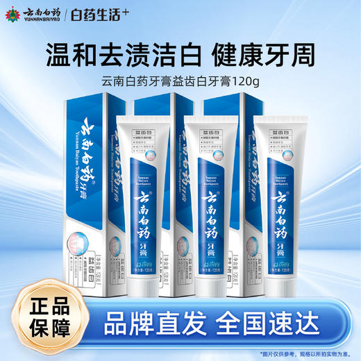 【白药精选】云南白药牙膏益齿白120g去渍亮白缓解牙龈问题营养牙周 商品图0