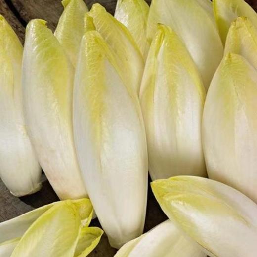 【SF】  玉兰菜  新鲜采摘  时令蔬菜 商品图1