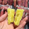海南桥头地瓜 🍠宝宝果 适合烤蒸煮 软糯香甜 19.9/3斤（口碑红薯） 商品缩略图3