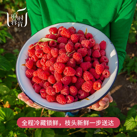 【昀蓉时光 · 单盒 · 红树莓原浆】气色嘭嘭·1袋喝掉45颗A 级鲜红树莓果.100%树莓原浆.0香精色素.营养丰富，原汁原味.酸甜爽口（40ml*7 袋/盒） 商品图5