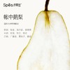 Spēs诗裴丝精油香氛沐浴露（帐中鹅梨）500ml 商品缩略图4