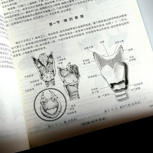 言语科学基础 言语科学发展历史与现状 声学基础知识 商品图13