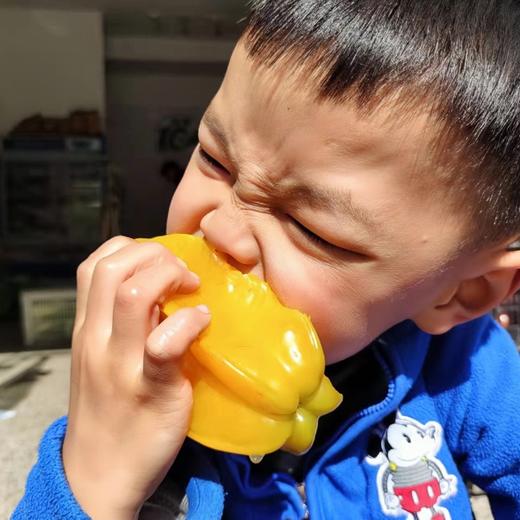 有机香蜜杨桃 商品图6