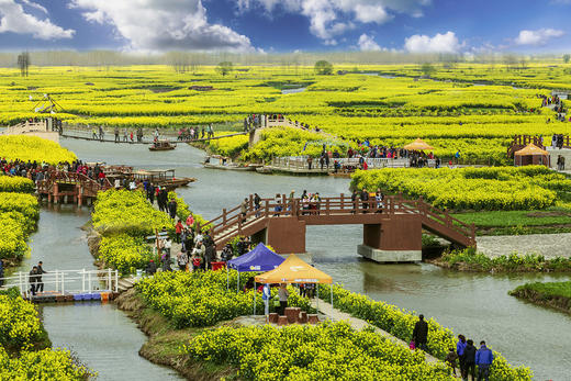 【清明 赏花】<华东七市·上海+苏州+无锡+扬州+泰州+南京+杭州双飞6日游>扬州瘦西湖︱鼋头渚赏樱︱千垛油菜花︱杭州西湖 苏州狮子林︱大报恩寺︱中山陵︱乌镇东栅 商品图1