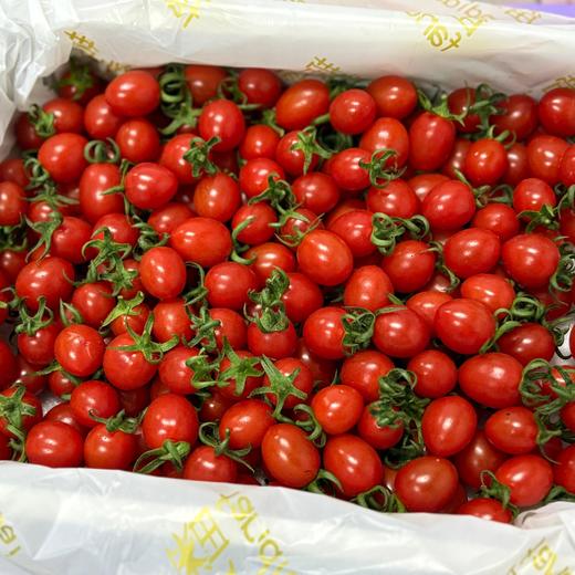 【红色小千禧】釜山88，小巧玲珑，果肉饱满，酸酸甜甜，番茄味道浓郁，直接吃、做沙拉都很OK，低脂低热量、出游踏青必备。净重2斤/份，江浙沪皖顺丰包邮~ 商品图0