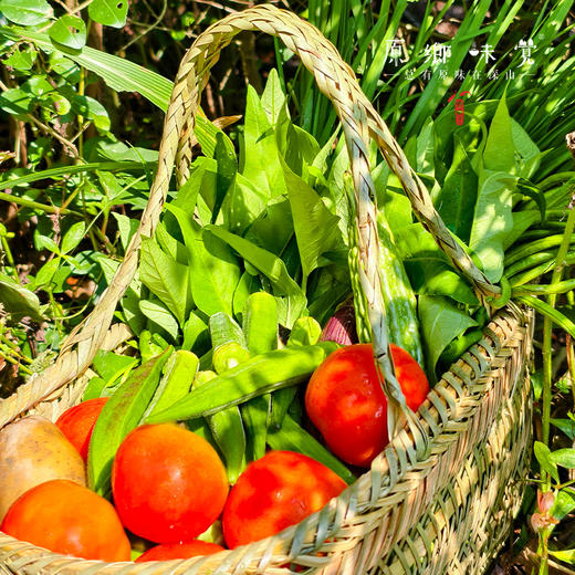 自选生态蔬菜箱（农场直发-顺丰快递）| 多种规格，来自成都郫都区【原乡农场，自产自销】 商品图9