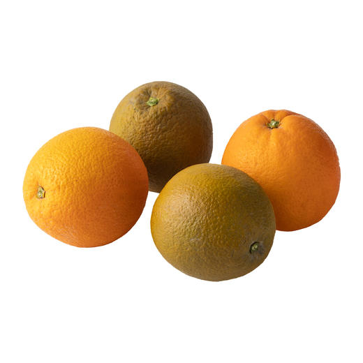 企鹅市集|湖北秭归 巧克力橙/红肉橙双拼组合 多重口感风味体验 饱满多汁 商品图7