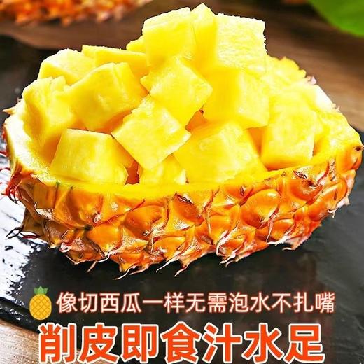 当季抢鲜吃❗️正宗海南金钻凤梨新鲜水果采摘 商品图5