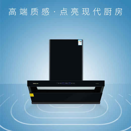 桑乐(SANGLE)吸油烟机CXW-298-W911 商品图0