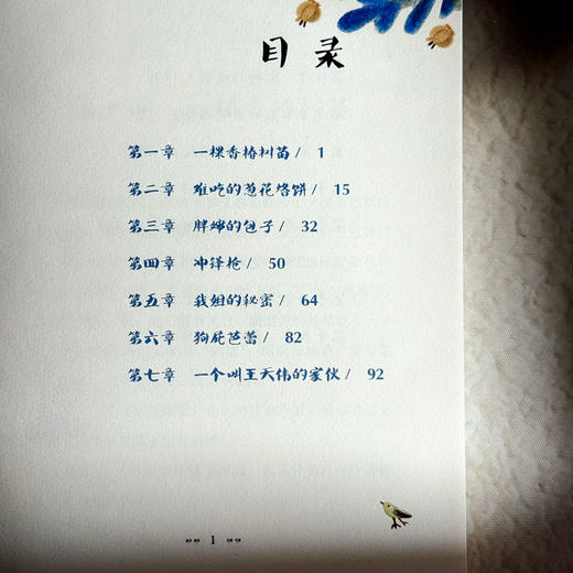 吴洲星少女成长小说3册 棉棉花开 香椿树下 我们的拗花巷 商品图9