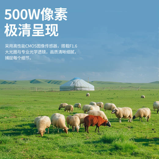 品宁新品蜂眼18号4G免充值款智能人形侦测声光报警 商品图4