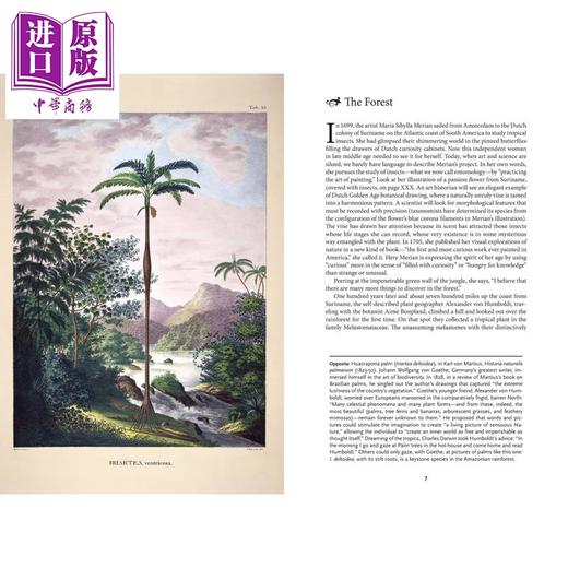 预售 【中商原版】生物多样性的艺术 艺术家与博物学家 The Art of Biodiversity Artists & Naturalists 英文原版 Eric Himmel 商品图2