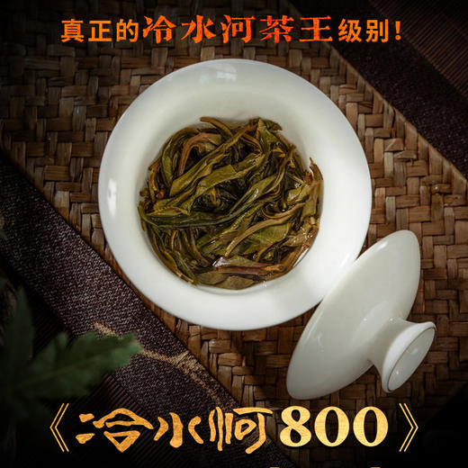 【春茶预售】2026年云茶盟主独家供应！冷水河超微产区连株800年大古树！纯料不掺杂！ 商品图3