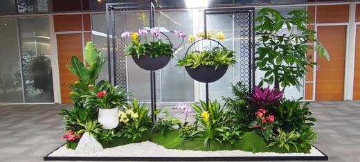 【西南区域成都范围】绿植租摆服务（月） 商品图2