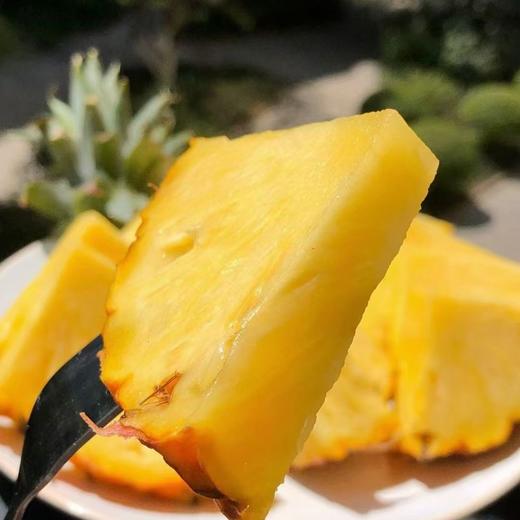 当季抢鲜吃❗️正宗海南金钻凤梨新鲜水果采摘 商品图7