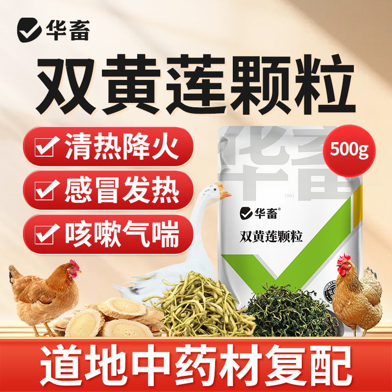 【社群专享】华畜 双黄莲颗粒 清热降火感冒发热咳嗽气喘