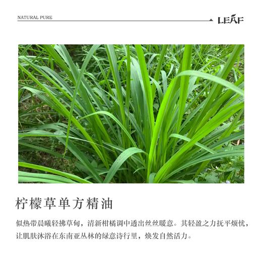 利芙耶  清体精油套组柠檬草葡萄柚杜松浆果 商品图2