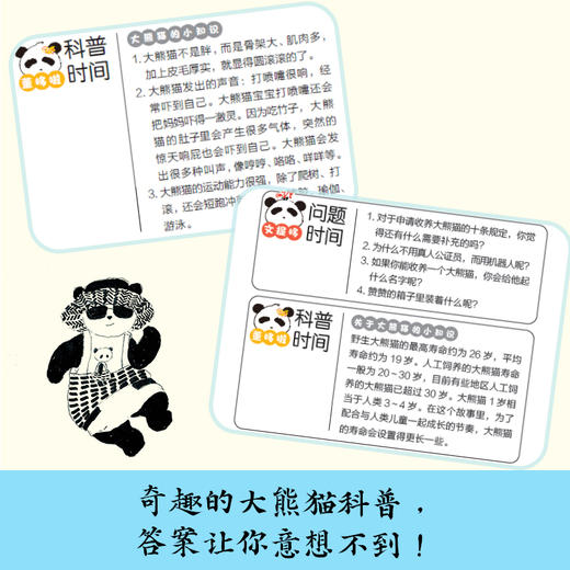 熊猫之城（4册） 商品图4