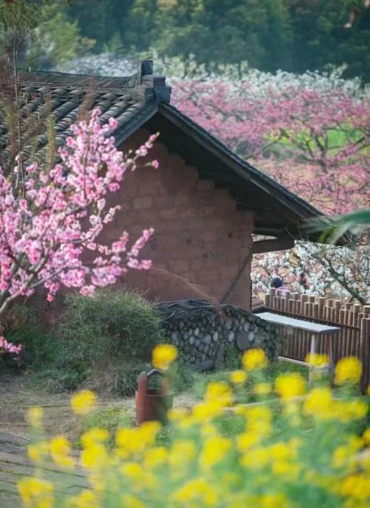 4.4/4.5清明小长假【眉山丹棱幸福古村】2天1夜高端精品营·吃住玩全包 商品图11