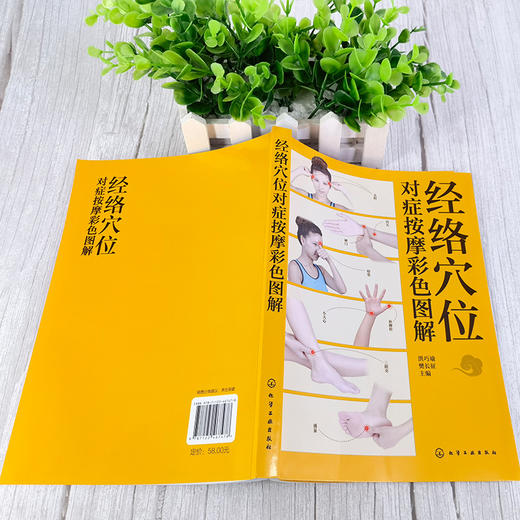 经络穴位对症按摩彩色图解 商品图2